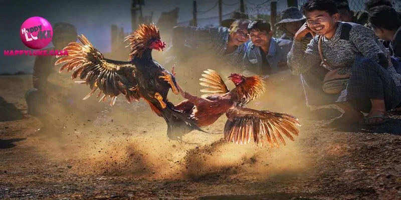 Các hình thức đặt cược khi tham gia đá gà tại cổng game này